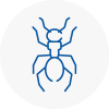 Ant Removals In High Wycombe