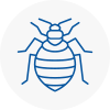 Bed Bug Extermination In High Wycombe