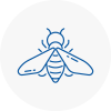 Bee Nest Removal High Wycombe