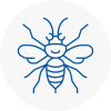 High Wycombe Hornet Nest Removals