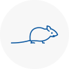 Mice Exterminators In High Wycombe