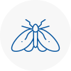 Moth Control Specialists In High Wycombe