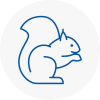 High Wycombe Rodent Removals